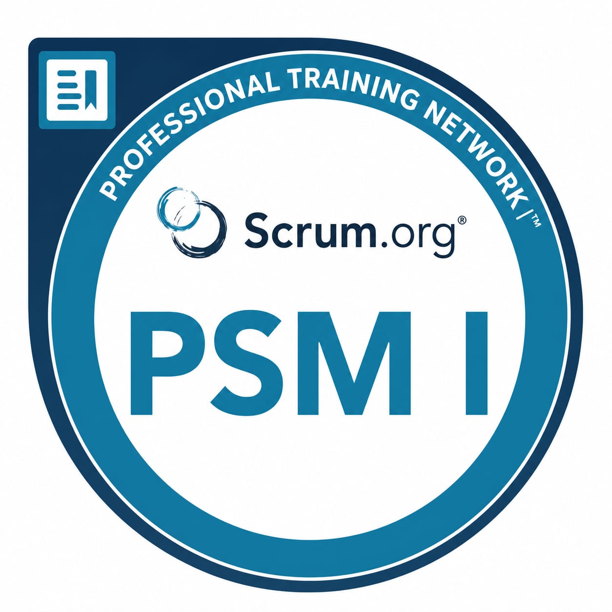 Professional Scrum Master
